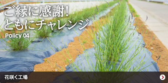 Policy04